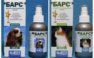Barras de Pulverização de pulgas para gatos e cães