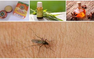 Visão geral dos remédios populares para mosquitos e mosquitos na natureza
