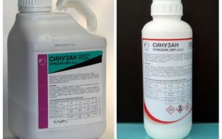 Remédio de Sinuzan para bedbugs