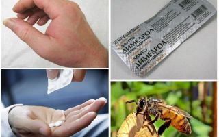 O que fazer se um pedaço de abelha