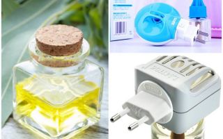 Como fazer um fumigador e mosquito líquido em casa