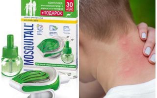 Mosquito para mosquitos