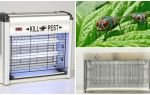 Como fazer uma armadilha para moscas casa