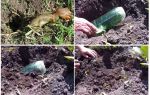 Revisão de armadilhas caseiras para o urso