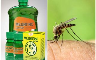 Meios de Medilis Tsiper contra mosquitos
