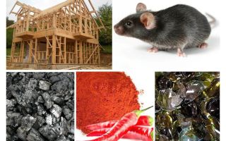 Proteção da casa de armação contra ratos