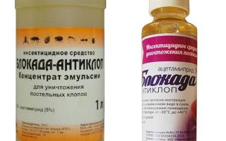 Bloqueio Anti-bugs de percevejos