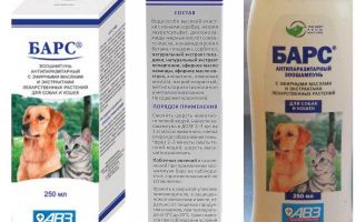 Leopardo pulga shampoo
