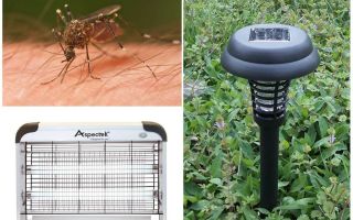 Luzes de mosquitos para a rua e em casa