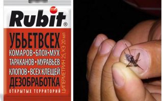 Remédio mosquito rubit