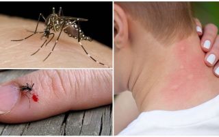 E se uma picada de mosquito