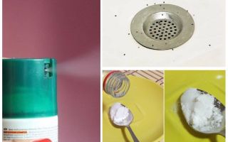 Como se livrar de mosquitos no apartamento