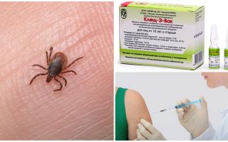 Instruções de uso da vacina Tick-E-Vac