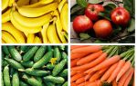 O que comer baratas no apartamento