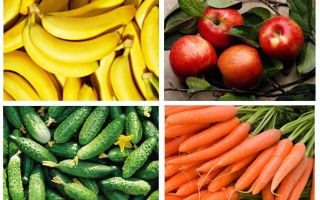 O que comer baratas no apartamento