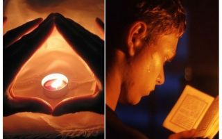 Tramas e orações de percevejos no apartamento