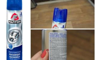 Significa Raptor de pulgas no apartamento