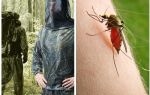 Roupas de mosquitos, carrapatos e mosquitos - uma visão geral