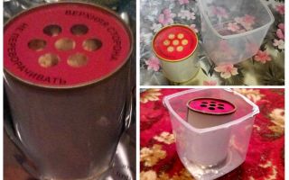 Fumigadores de pulgas no apartamento