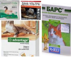 Gotas na cernelha das pulgas para gatos e gatinhos