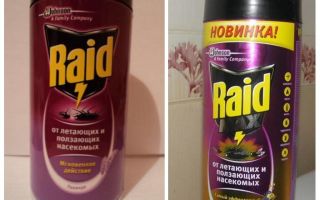 Remédio de Raid Bed
