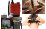 O que é um kit anti-pediculose?