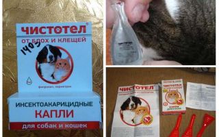 Gotas de celandine de pulgas para gatos e cães