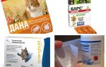 Os melhores remédios contra pulgas para gatos