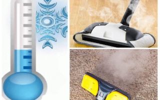Como se livrar de insecticidas de pulgas de tapetes e meios improvisados