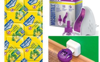 Fumigadores de percevejos