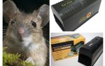 Ratoeira eletrônica