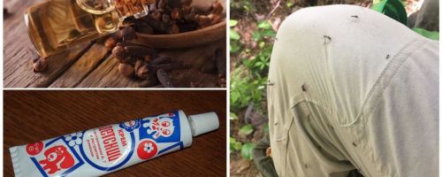 Remédios populares para mosquitos