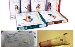 Pulga fortaleza gotas para cães e gatos