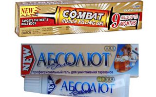 Melhores Géis para percevejos: Global, Absolute, Fipronil, etc