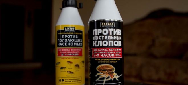 GEKTOR contra percevejos e insetos rastejantes