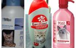 Shampoos de pulgas para gatinhos e gatos