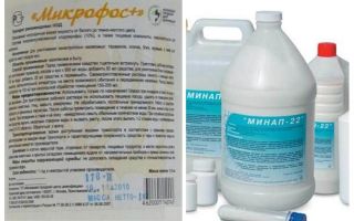 Preparações de microcápsulas para percevejos