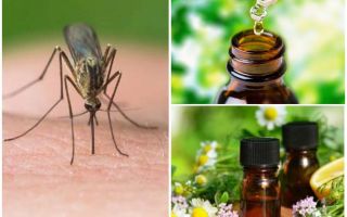 Óleos essenciais de mosquitos