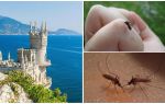 Existem mosquitos na Crimeia