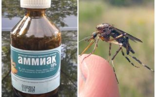 Amônia líquida de mosquitos