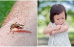 Quantos dias a picada do mosquito vai?