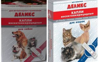 Gotas de pulgas deliciosas para gatos e cães