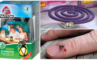 Como se livrar dos mosquitos no país