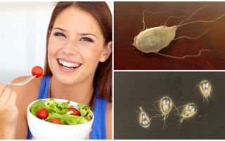 Dieta no tratamento de Giardia em adultos e crianças