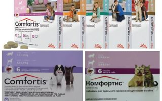 Comprimidos de pulgas para cães e gatos