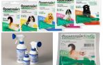 Gotas de pulgas Frontline e spray