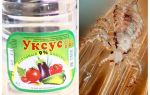 Como remover piolhos de vinagre e lêndeas