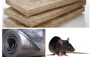 Que tipo de isolamento não comem ratos e camundongos