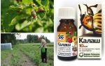 Significa Kalash do besouro de batata de Colorado