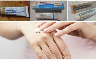 Como e o que se livrar de picadas de mosquito em casa